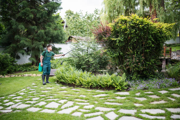 Best Pest Prevention Services  in Bremerton, WA