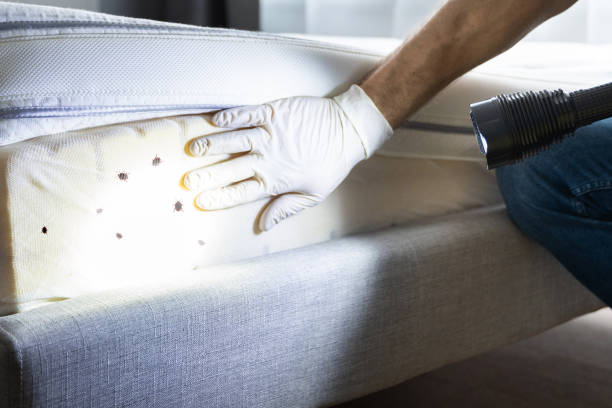 Best Pest Removal Services  in Bremerton, WA